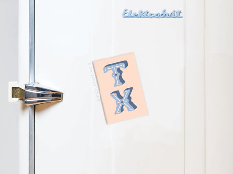 TX Refrigerator Magnet