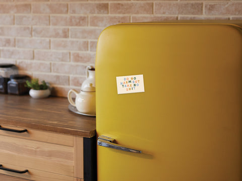 Do No Harm But Take No Shit Refrigerator Magnet