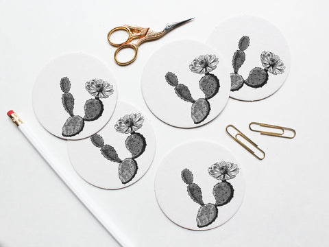 Texas Prickly Pear Coaster Set - onderkast-studio