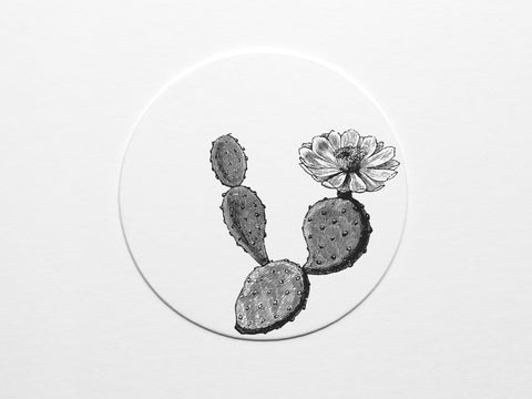 Texas Prickly Pear Coaster Set - onderkast-studio