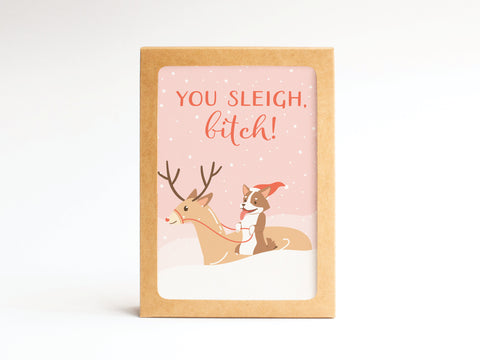 You Sleigh, B*tch! Folded Greeting Note Set of 10